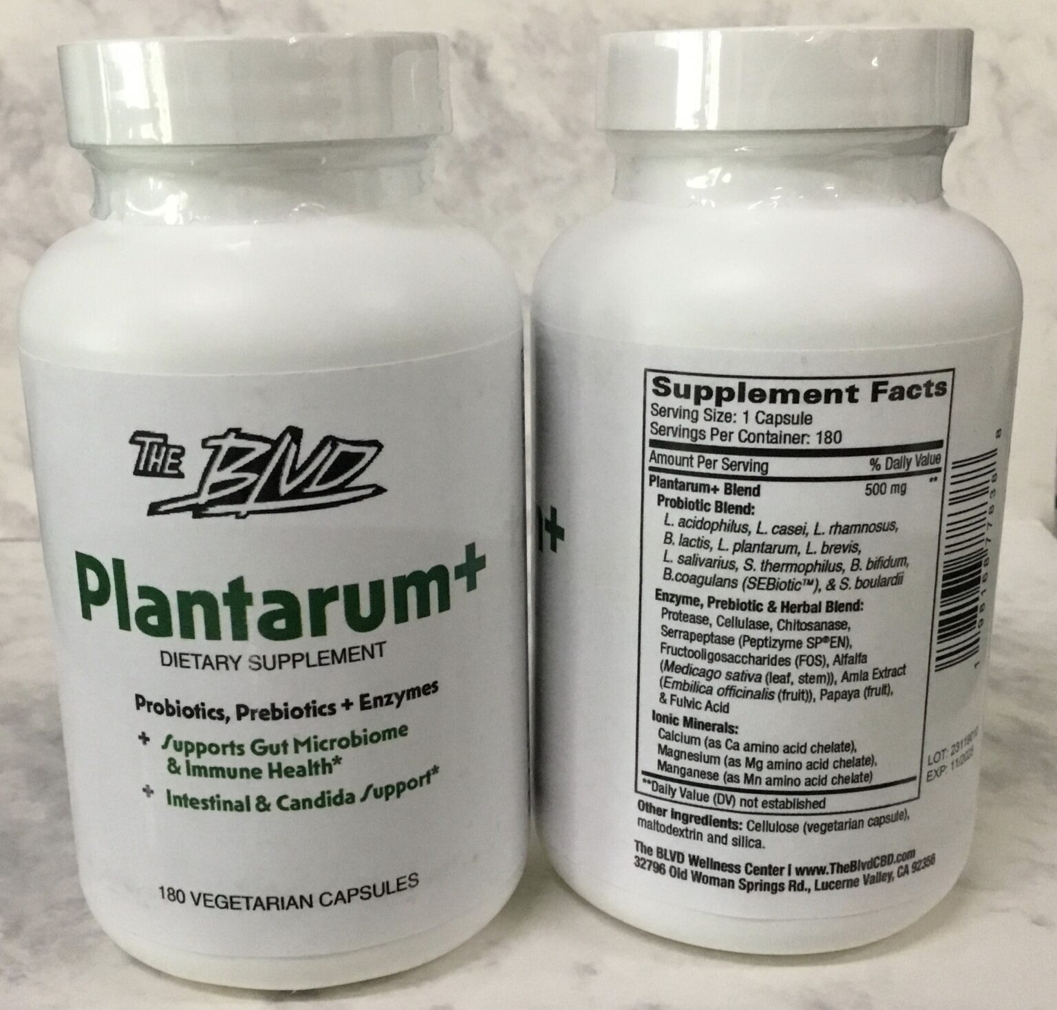 plantarum enzyme